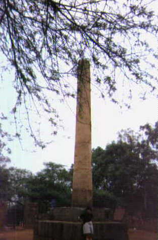 The Pillar removed from Meerut by Firoz Shah Tughlaq in 1365 A.D. Now near Bara Hindu Rao.